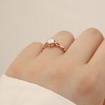 حلقه دیزنی - Image 2